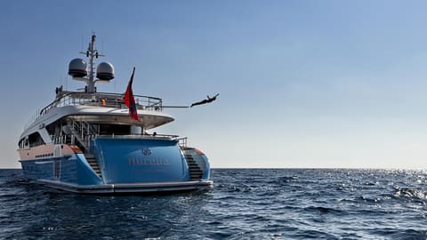 Aurelia, mer et soleil